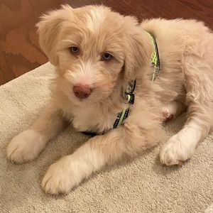 Meet your Posher, Kerri